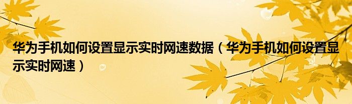 华为手机如何设置显示实时网速数据（华为手机如何设置显示实时网速）