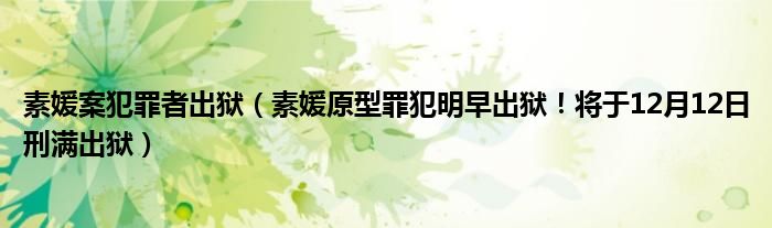 素媛案犯罪者出狱（素媛原型罪犯明早出狱！将于12月12日刑满出狱）