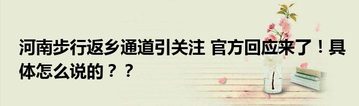 河南步行返乡通道引关注 官方回应来了！具体怎么说的？？