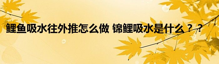 鲤鱼吸水往外推怎么做 锦鲤吸水是什么？？