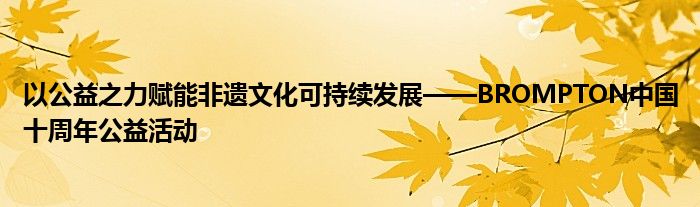 以公益之力赋能非遗文化可持续发展——BROMPTON中国十周年公益活动