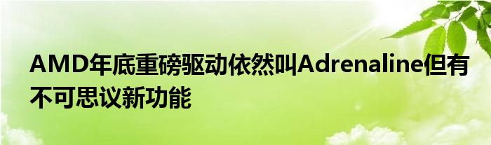 AMD年底重磅驱动依然叫Adrenaline但有不可思议新功能