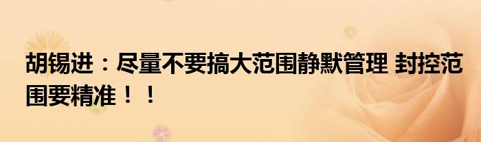 胡锡进：尽量不要搞大范围静默管理 封控范围要精准！！