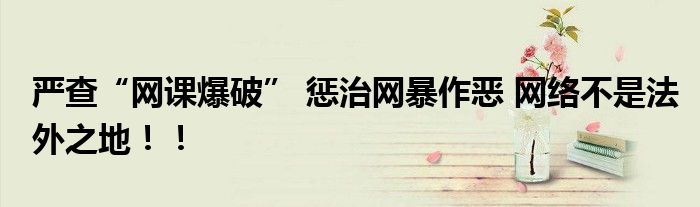 严查“网课爆破” 惩治网暴作恶 网络不是法外之地！！