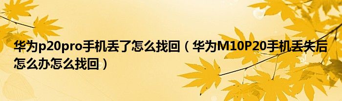 华为p20pro手机丢了怎么找回（华为M10P20手机丢失后怎么办怎么找回）