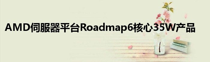 AMD伺服器平台Roadmap6核心35W产品