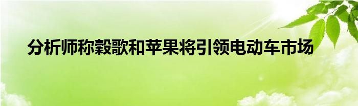 分析师称穀歌和苹果将引领电动车市场