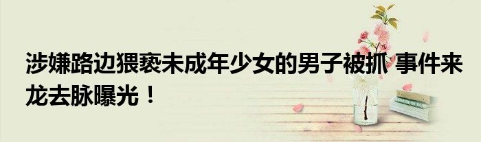 涉嫌路边猥亵未成年少女的男子被抓 事件来龙去脉曝光！