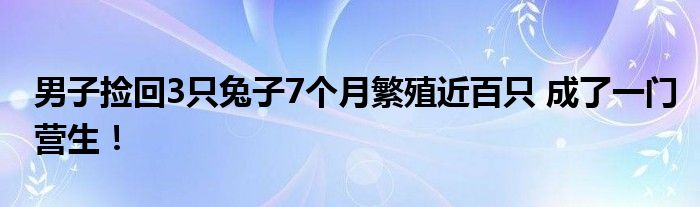 男子捡回3只兔子7个月繁殖近百只 成了一门营生！
