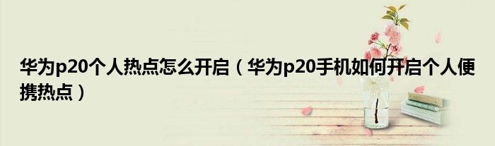 华为p20个人热点怎么开启（华为p20手机如何开启个人便携热点）
