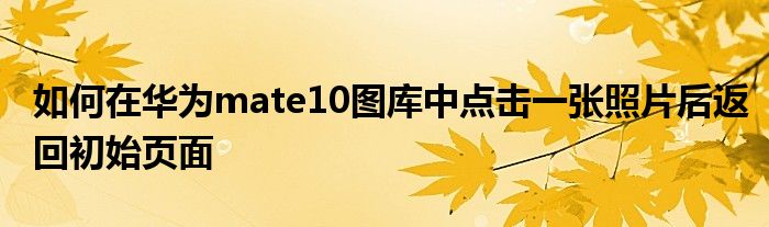 如何在华为mate10图库中点击一张照片后返回初始页面