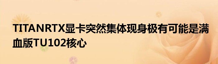TITANRTX显卡突然集体现身极有可能是满血版TU102核心