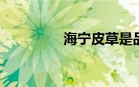 海宁皮草是品牌还是材料