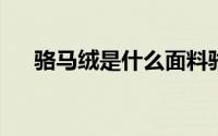 骆马绒是什么面料骆马绒和羊绒哪个贵