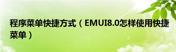 程序菜单快捷方式（EMUI8.0怎样使用快捷菜单）