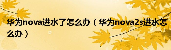 华为nova进水了怎么办（华为nova2s进水怎么办）