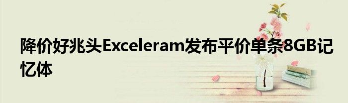 降价好兆头Exceleram发布平价单条8GB记忆体