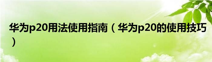 华为p20用法使用指南（华为p20的使用技巧）