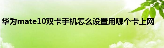 华为mate10双卡手机怎么设置用哪个卡上网