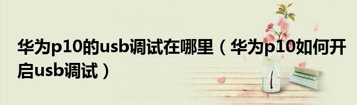 华为p10的usb调试在哪里（华为p10如何开启usb调试）