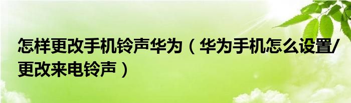 怎样更改手机铃声华为（华为手机怎么设置/更改来电铃声）