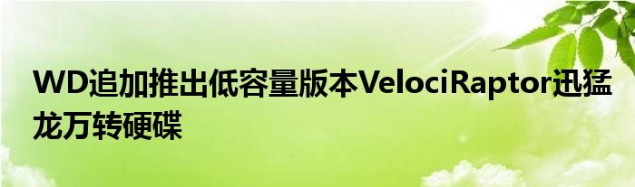 WD追加推出低容量版本VelociRaptor迅猛龙万转硬碟