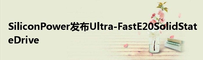 SiliconPower发布Ultra
