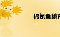 棉氨鱼鳞布什么样子