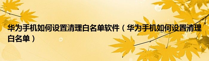 华为手机如何设置清理白名单软件（华为手机如何设置清理白名单）