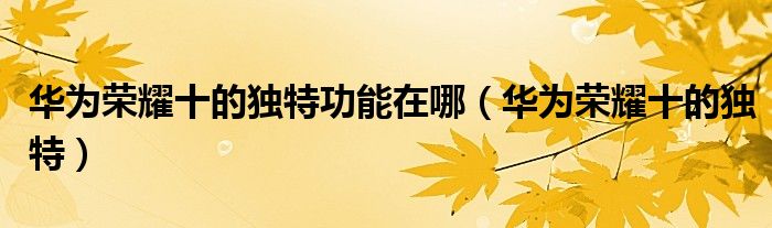 华为荣耀十的独特功能在哪（华为荣耀十的独特）