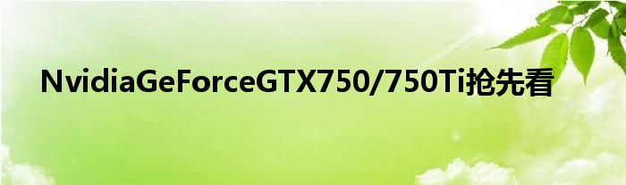 NvidiaGeForceGTX750/750Ti抢先看
