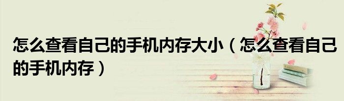 怎么查看自己的手机内存大小（怎么查看自己的手机内存）