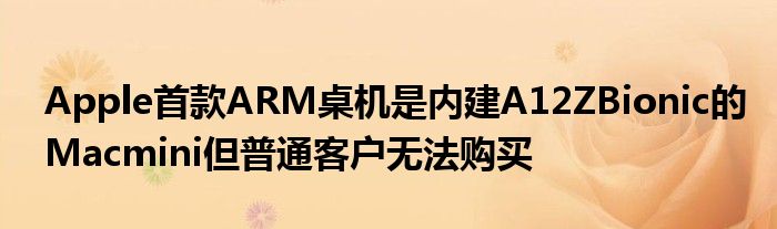 Apple首款ARM桌机是内建A12ZBionic的Macmini但普通客户无法购买