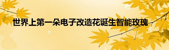 世界上第一朵电子改造花诞生智能玫瑰