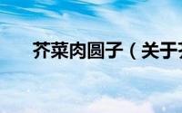 芥菜肉圆子（关于芥菜肉圆子的简介）