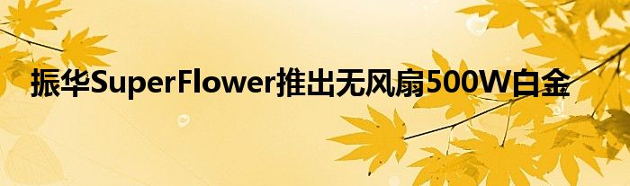 振华SuperFlower推出无风扇500W白金