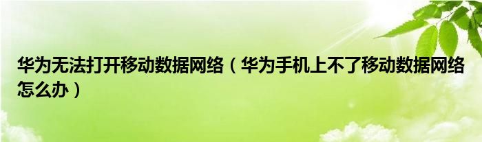 华为无法打开移动数据网络（华为手机上不了移动数据网络怎么办）