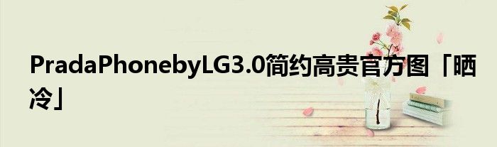 PradaPhonebyLG3.0简约高贵官方图「晒冷」
