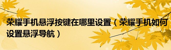 荣耀手机悬浮按键在哪里设置（荣耀手机如何设置悬浮导航）