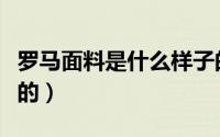 罗马面料是什么样子的（罗马面料是什么样子的）