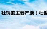 壮锦的主要产地（壮锦是哪个民族的纺织品）