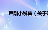 芦刚小说集（关于芦刚小说集的简介）