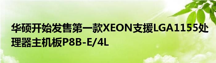 华硕开始发售第一款XEON支援LGA1155处理器主机板P8B