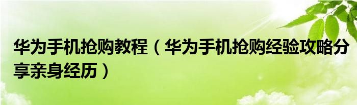 华为手机抢购教程（华为手机抢购经验攻略分享亲身经历）