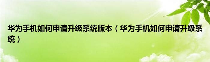 华为手机如何申请升级系统版本（华为手机如何申请升级系统）