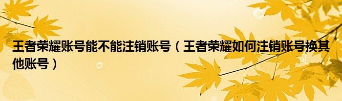 王者荣耀账号能不能注销账号（王者荣耀如何注销账号换其他账号）