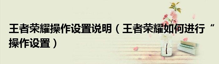 王者荣耀操作设置说明（王者荣耀如何进行“操作设置）