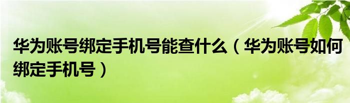 华为账号绑定手机号能查什么（华为账号如何绑定手机号）