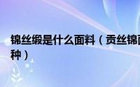 锦丝缎是什么面料（贡丝锦面料好不好贡丝锦面料成分有几种）