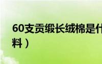 60支贡缎长绒棉是什么面料（绒棉是什么面料）